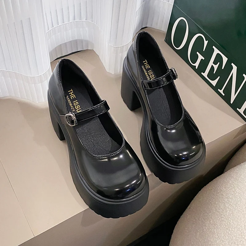 Chunky Heel Mary Janes Platform Shoes Black - Image 8