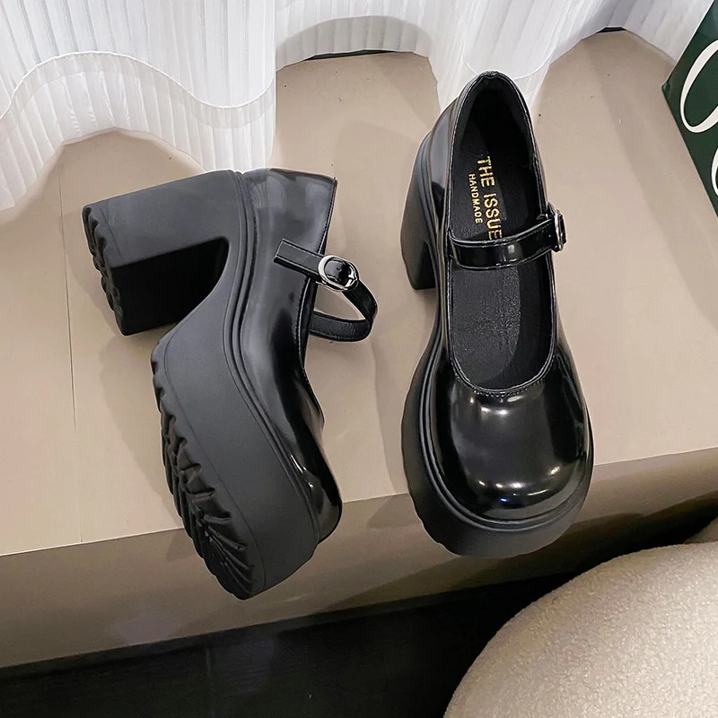 Chunky Heel Mary Janes Platform Shoes Black - Image 9